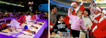Christmas Dinner at Disneyland Paris