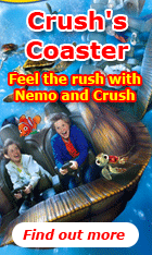 Disney's Crush Coaster