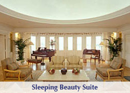 Castle Club at Disneyland Hotel