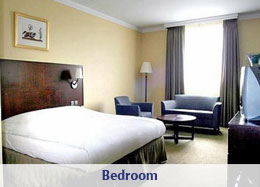 Standard Room at Radisson Blu Hotel