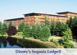 Montana Room at Disney's Sequoia Lodge
